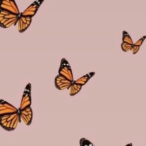 Meet your Posher, Calle